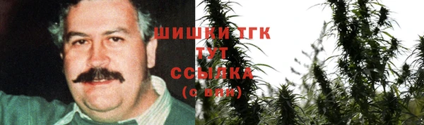 спиды Магас