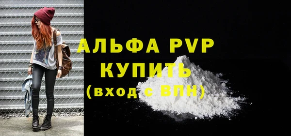 спиды Магас
