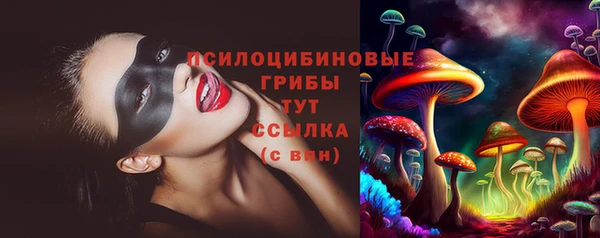спиды Магас