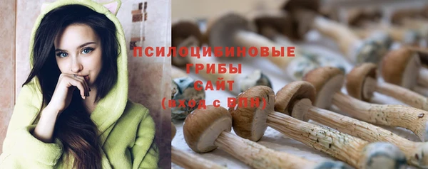 спиды Магас