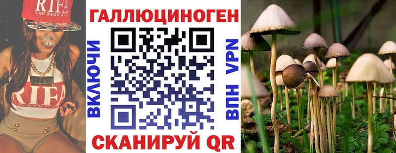 цены наркотик darknet какой сайт Галлюциногенные грибы GOLDEN TEACHER Щигры